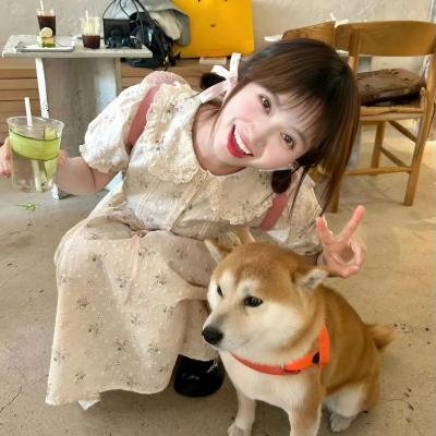 间谍过家家